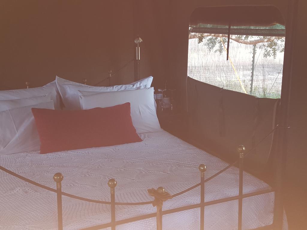 Hoopenburg Guesthouse Klapmuts Buitenkant foto